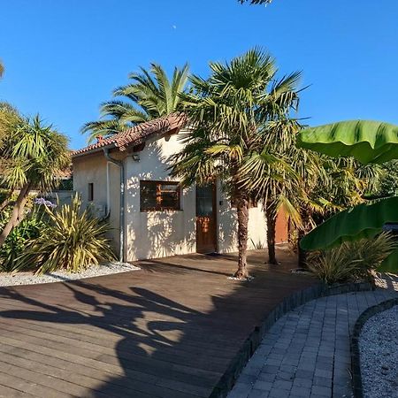 Guest House Au Milieu Des Palmiers Saint-Martin-de-Seignanx Екстериор снимка